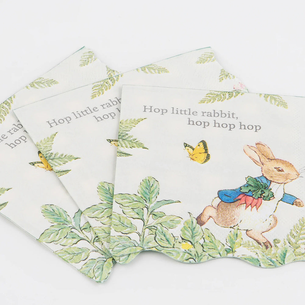 Peter Rabbit in The Garden Themed Party Supplies