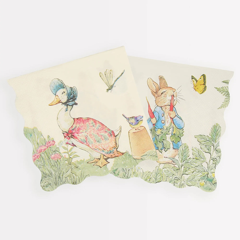 Peter Rabbit in The Garden Themed Party Supplies