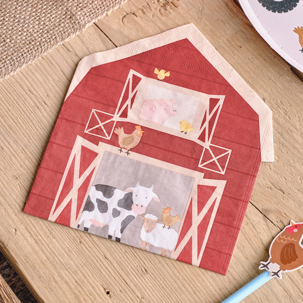 Farm Friends Kids Birthday Party Decorations
