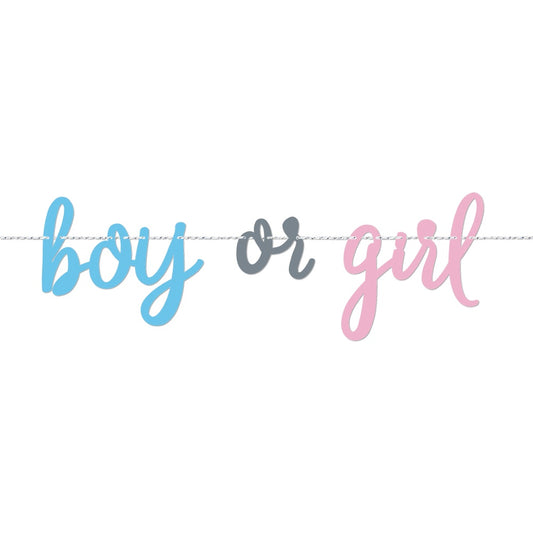Boy or Girl Gender Reveal Party Banner