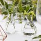 Assorted Glass Mini Vase Set