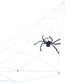 Giant Halloween Spider Web Decoration with Large Spider
