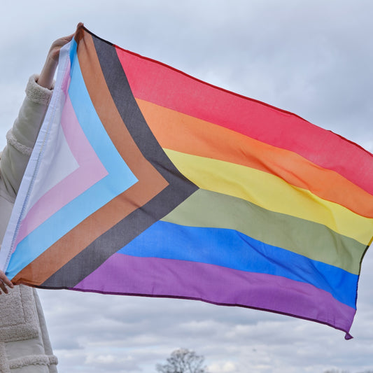 Large Rainbow Pride Flag