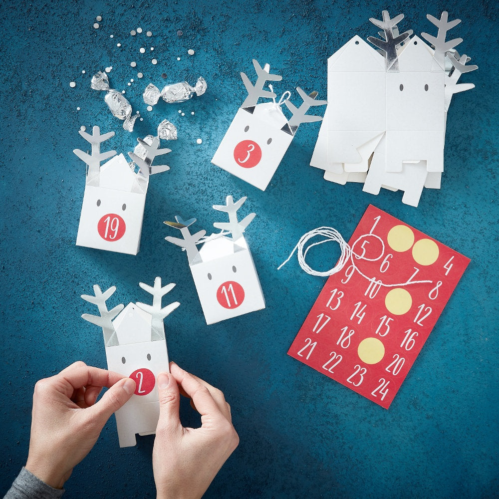 Reindeer Christmas Advent Calendar Boxes